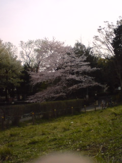 080405_1646~01.jpg